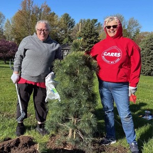 Two MidAmerican employees on either side of a freshly planted conifer with loose dirt from planting visible in the grass.