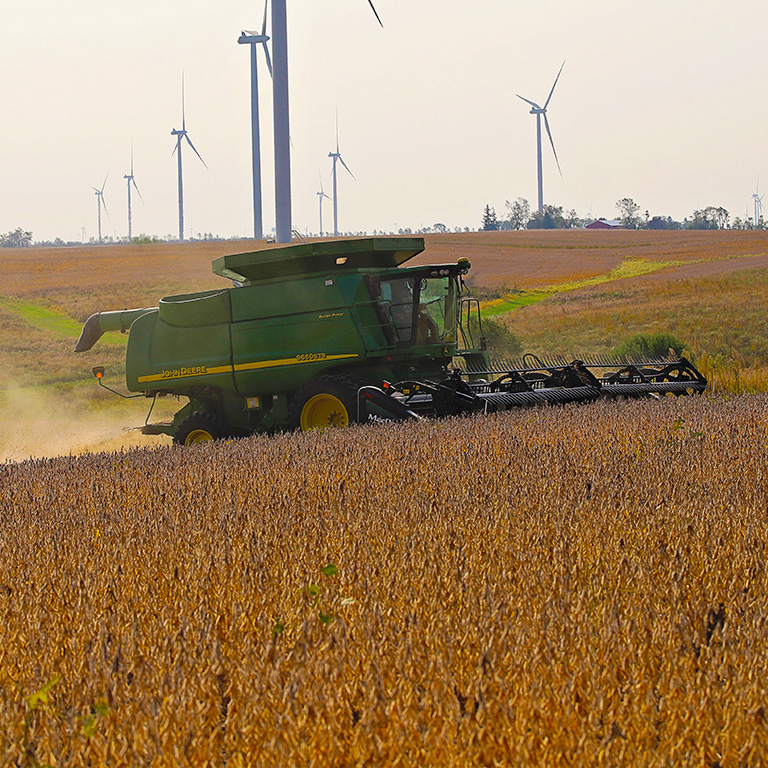 A combine harvesting crops