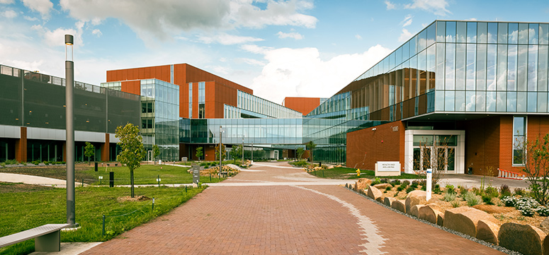 Image of walkway through new Des Moines University campus