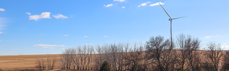 Wide format photo of gently rolling farm fields with a visible treeline and fence in the foreground, a white wind turbine rises against a mostly blue sky in the background.