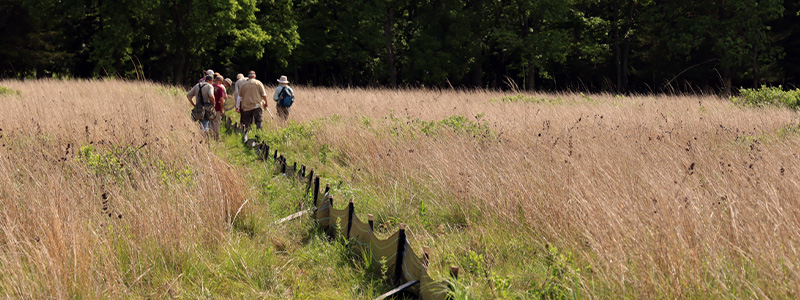 Visitors explore the prairie and check a trap line for animals at Big Sand Mound Nature Preserve. Animals found in trap lines are monitored and then released back into the preserve. 