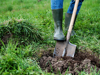 Person with green boots using a shovel to dig a hole
