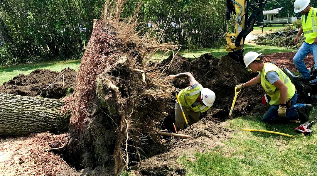 MidAmerican employees repairing a gas line that was damaged when a large tree was uprooted