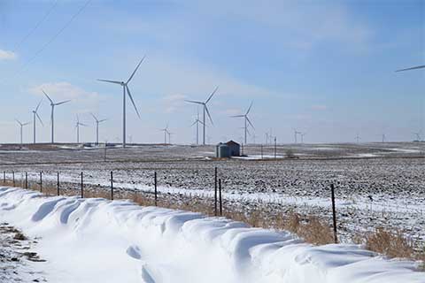 Winter Wind Turbines in a field