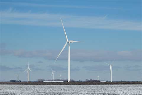 Winter Wind Turbines in a field