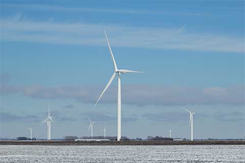 Winter Wind Turbines in a field