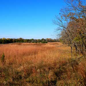 Big Sand Mound Park