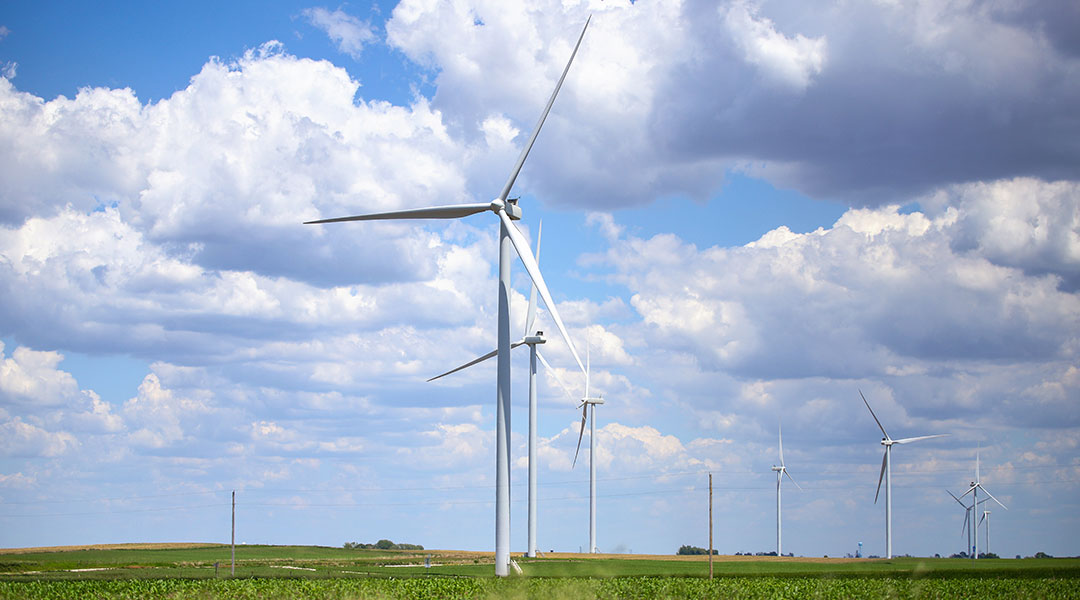 Wind farm with wind turbines