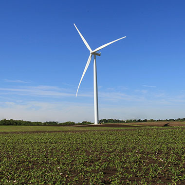 Wind Turbine in a field