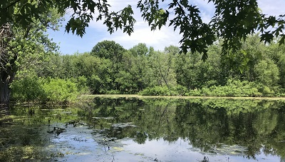 Big Sand Pond Mound