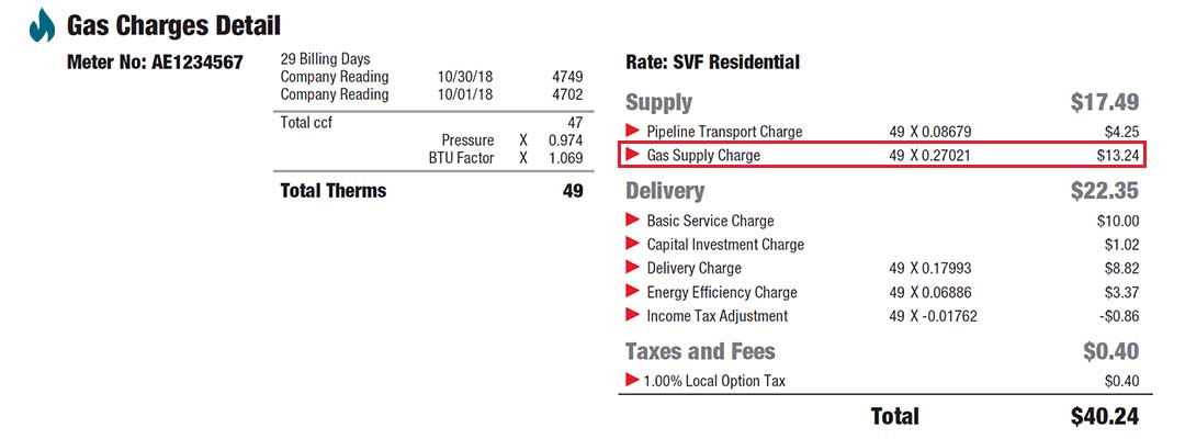 Displays how Gas Supply Charge appears on customer bills