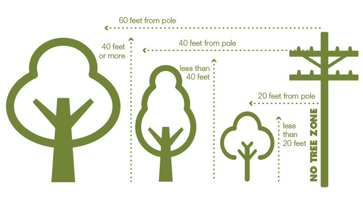 Illustration depicting safe distance to plant different sized trees away from power lines as described in text.