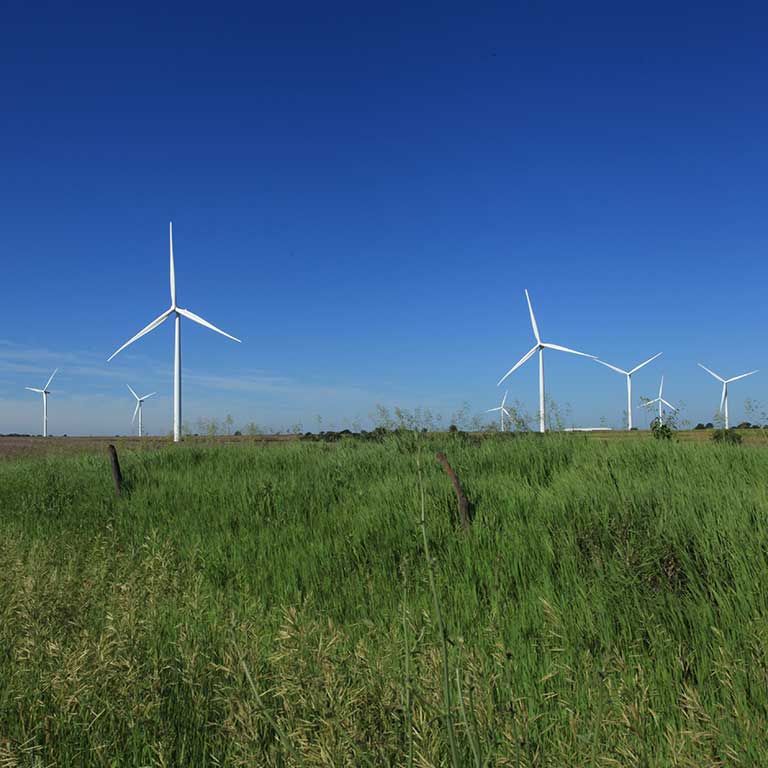 Iowa wind turbines, green grass