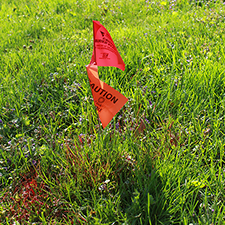 Grass with flags and spray paint indicating below-ground utilities