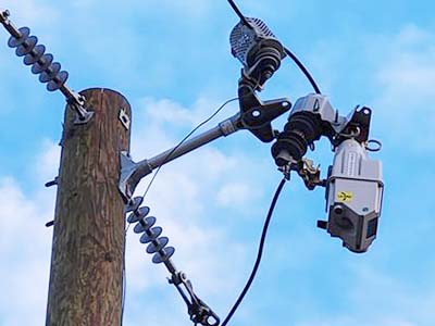 A TripSaver device mounted on a utility pole