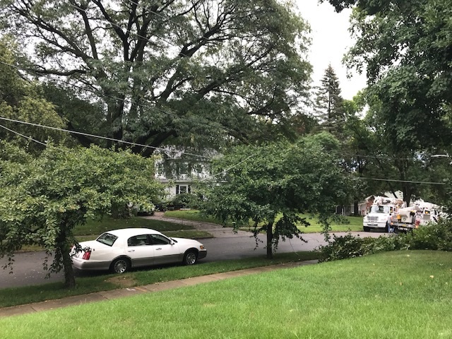 Spring storm knocks tree limbs, downed lines